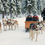 Huskypari vetää rekkeä lumisessa metsässä, matkustajia reen kyydissä talvisessa maisemassa.